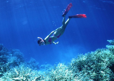 snorkeling on activities page